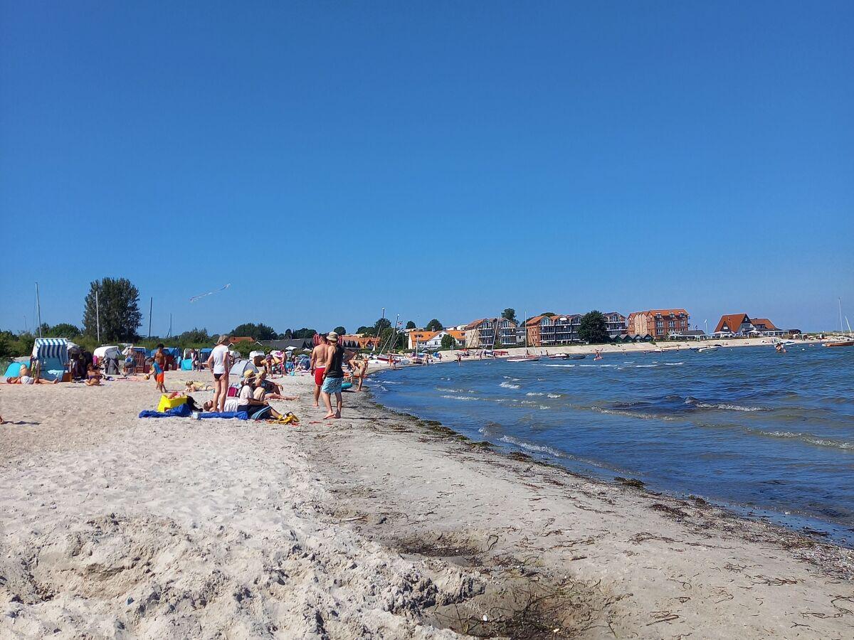 Hundestrand